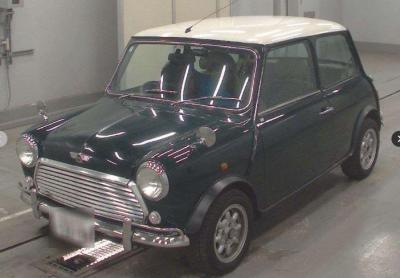 Rover Mini