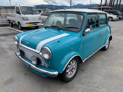 Rover Mini