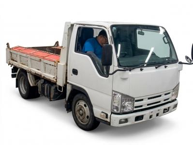 Isuzu ELF Truck