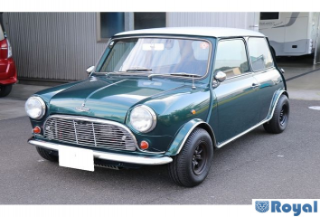 Rover Rover Mini