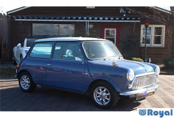 Rover Rover Mini