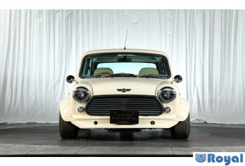 Rover Rover Mini