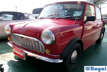 Rover Rover Mini