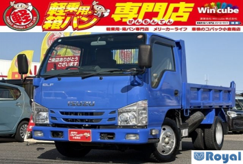 Isuzu ELF VAN