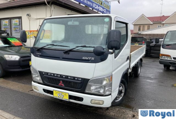 Mitsubishi Canter Guts
