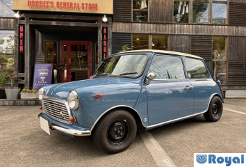 Rover Rover Mini
