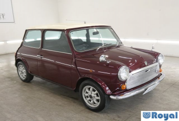 Rover Rover Mini
