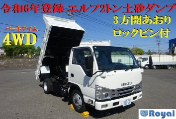 Isuzu ELF VAN