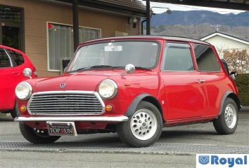Rover Rover Mini