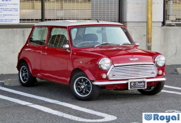 Rover Rover Mini