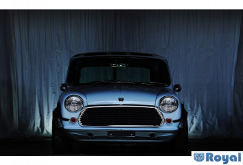 Rover Rover Mini