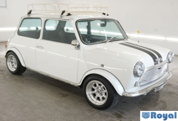 Rover Rover Mini