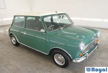 Rover Rover Mini