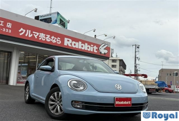 Volkswagen Volkswagen THE Beetle