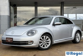 Volkswagen Volkswagen THE Beetle