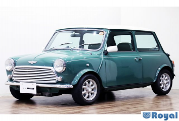 Rover Rover Mini