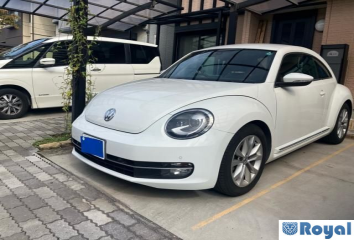 Volkswagen Volkswagen THE Beetle