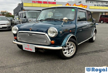 Rover Rover Mini