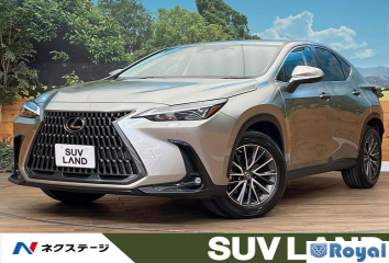 Lexus Nx250 AWD