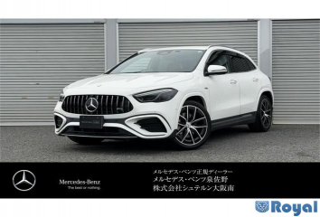 Mercedes Benz Mercedes AMG GLA Class