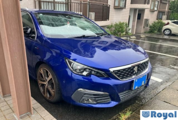 Peugeot Peugeot 308sw
