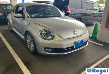 Volkswagen Volkswagen THE Beetle