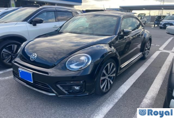 Volkswagen Volkswagen THE Beetle