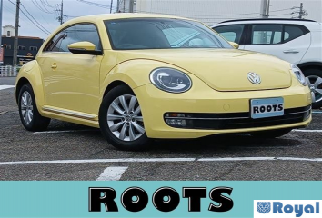 Volkswagen Volkswagen THE Beetle