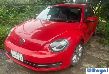 Volkswagen Volkswagen THE Beetle