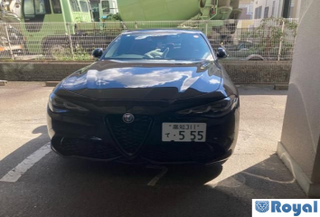Alfaromeo Alfaromeo Giulia