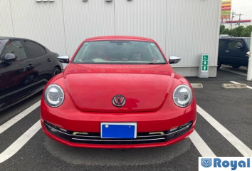 Volkswagen Volkswagen THE Beetle