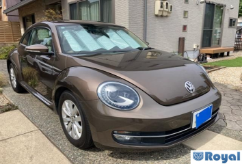 Volkswagen Volkswagen THE Beetle