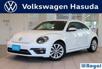 Volkswagen Volkswagen THE Beetle