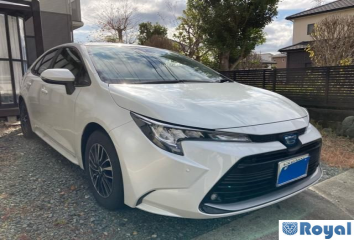 Toyota Corolla Sedan