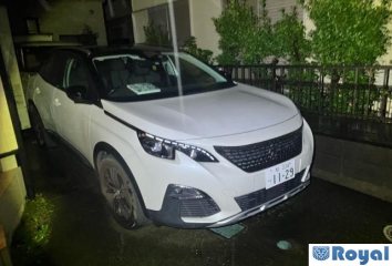 Peugeot Peugeot 3008