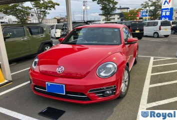 Volkswagen Volkswagen THE Beetle