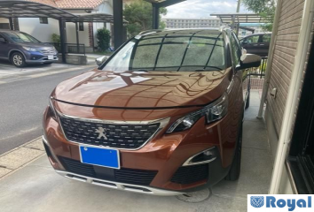 Peugeot Peugeot 3008
