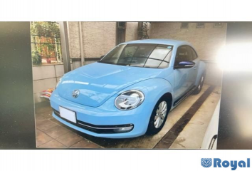 Volkswagen Volkswagen THE Beetle