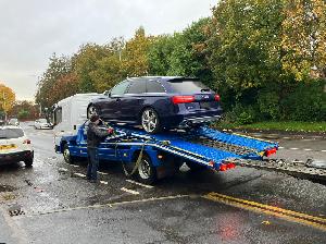 SHAHROKH MIRTORABI-MERICAN MOTORS from United Kingdom