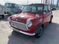 Rover Mini