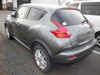 Nissan JUKE 2013