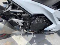 Kawasaki NINJA 2019