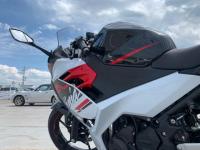 Kawasaki NINJA 2019