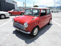 ROVER MINI 1989