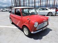 ROVER MINI 1989