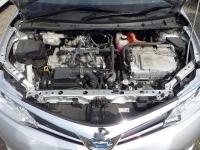 Toyota COROLLA FIELDER 2019