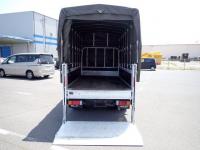 Isuzu ELF TRUCK 2020