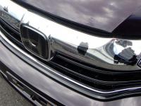 Honda SHUTTLE 2019